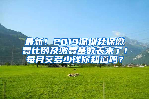 最新！2019深圳社保缴费比例及缴费基数表来了！每月交多少钱你知道吗？