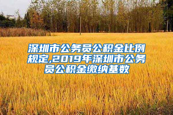 深圳市公务员公积金比例规定,2019年深圳市公务员公积金缴纳基数