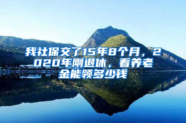 我社保交了15年8个月，2020年刚退休，看养老金能领多少钱