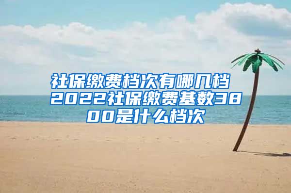 社保缴费档次有哪几档 2022社保缴费基数3800是什么档次