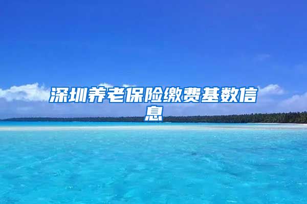 深圳养老保险缴费基数信息