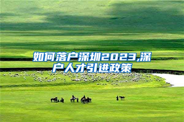 如何落户深圳2023,深户人才引进政策