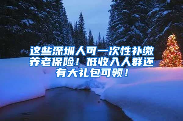 这些深圳人可一次性补缴养老保险！低收入人群还有大礼包可领！