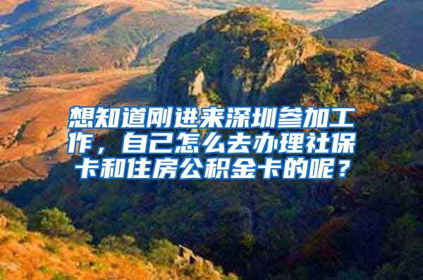 想知道刚进来深圳参加工作，自己怎么去办理社保卡和住房公积金卡的呢？