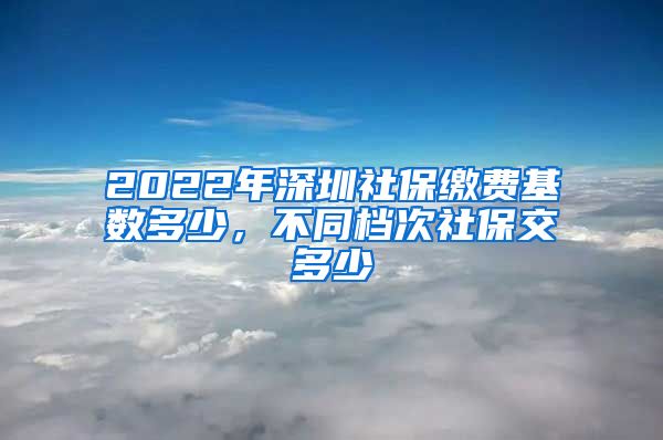 2022年深圳社保缴费基数多少，不同档次社保交多少