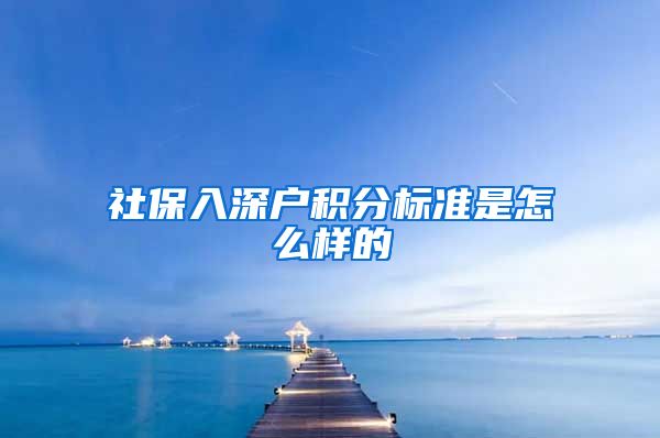 社保入深户积分标准是怎么样的