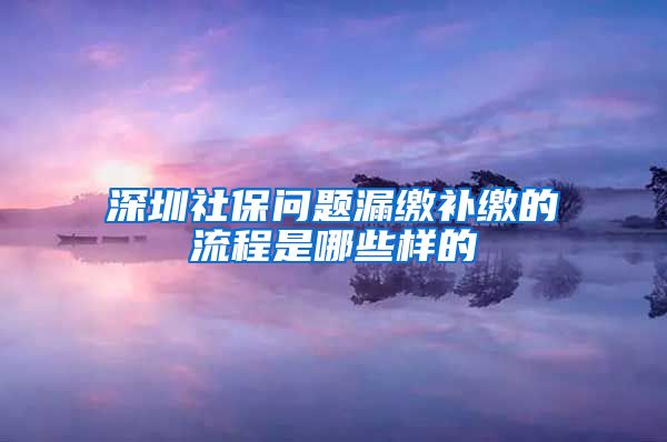 深圳社保问题漏缴补缴的流程是哪些样的