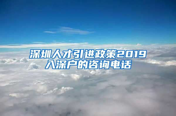 深圳人才引进政策2019入深户的咨询电话