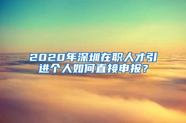 2020年深圳在职人才引进个人如何直接申报？