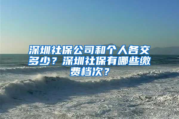 深圳社保公司和个人各交多少？深圳社保有哪些缴费档次？