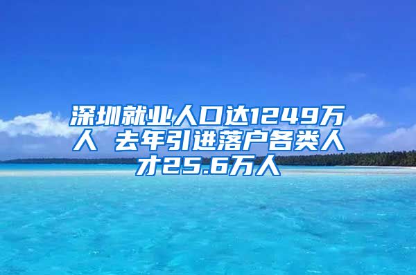 深圳就业人口达1249万人 去年引进落户各类人才25.6万人