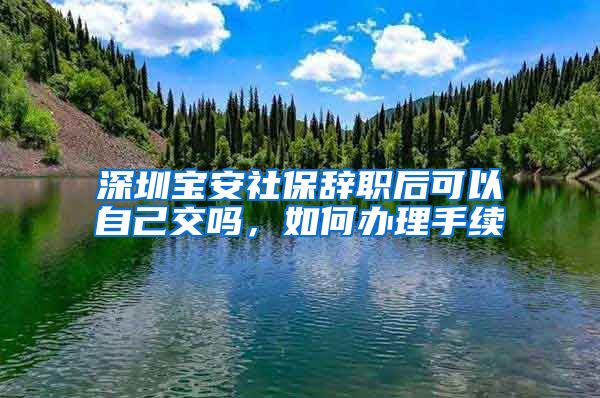 深圳宝安社保辞职后可以自己交吗，如何办理手续