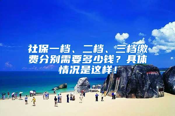 社保一档、二档、三档缴费分别需要多少钱？具体情况是这样！