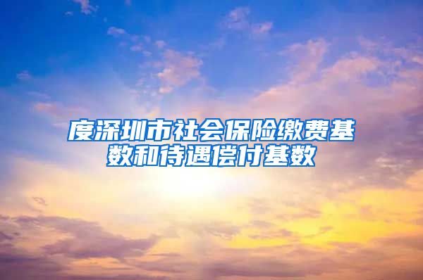 度深圳市社会保险缴费基数和待遇偿付基数