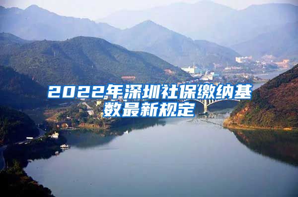 2022年深圳社保缴纳基数最新规定