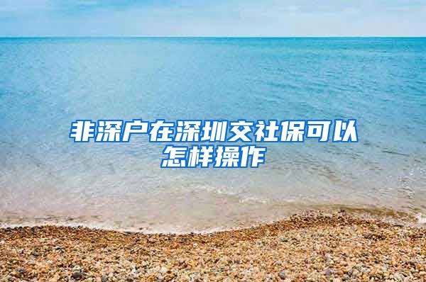 非深户在深圳交社保可以怎样操作