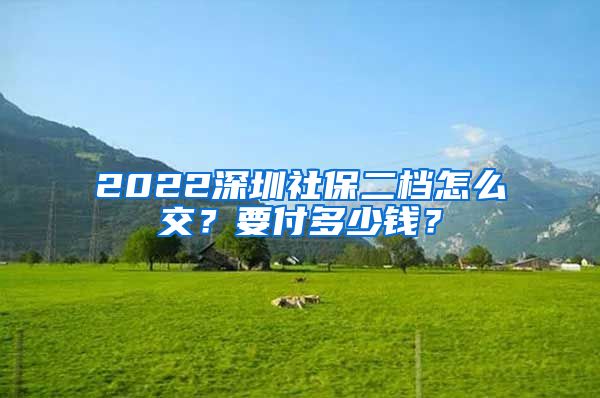 2022深圳社保二档怎么交？要付多少钱？