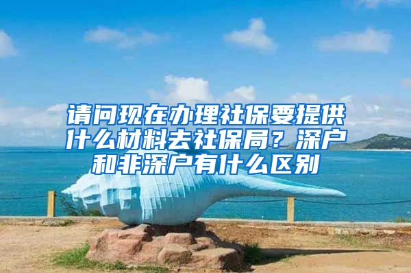 请问现在办理社保要提供什么材料去社保局？深户和非深户有什么区别