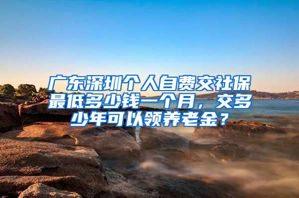 广东深圳个人自费交社保最低多少钱一个月，交多少年可以领养老金？