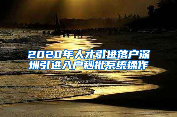 2020年人才引进落户深圳引进入户秒批系统操作