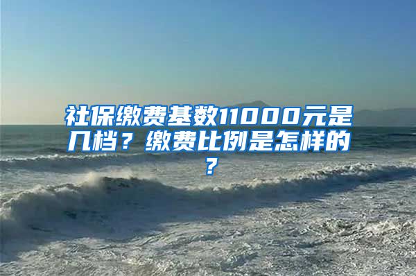 社保缴费基数11000元是几档？缴费比例是怎样的？