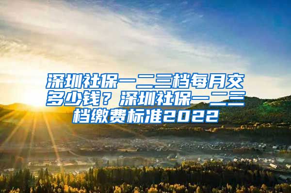 深圳社保一二三档每月交多少钱？深圳社保一二三档缴费标准2022