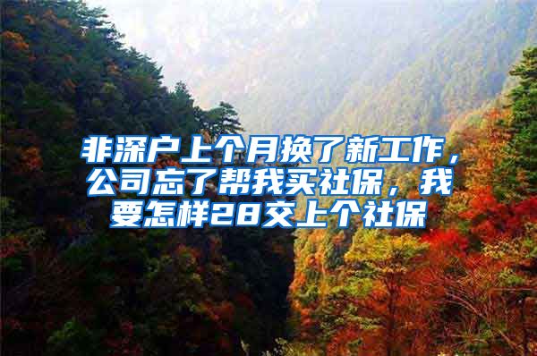 非深户上个月换了新工作，公司忘了帮我买社保，我要怎样28交上个社保