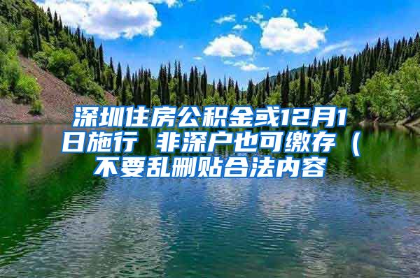 深圳住房公积金或12月1日施行 非深户也可缴存（不要乱删贴合法内容