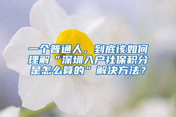 一个普通人，到底该如何理解“深圳入户社保积分是怎么算的”解决方法？