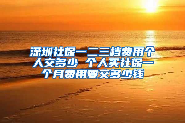 深圳社保一二三档费用个人交多少 个人买社保一个月费用要交多少钱