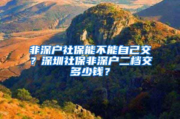 非深户社保能不能自己交？深圳社保非深户二档交多少钱？