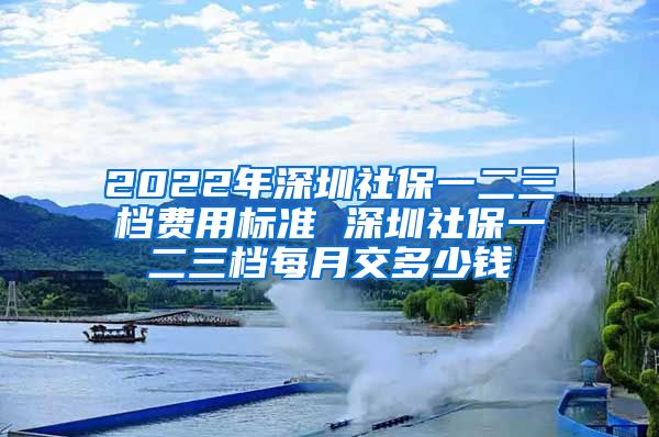 2022年深圳社保一二三档费用标准 深圳社保一二三档每月交多少钱