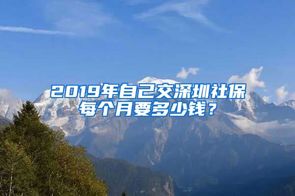 2019年自己交深圳社保每个月要多少钱？