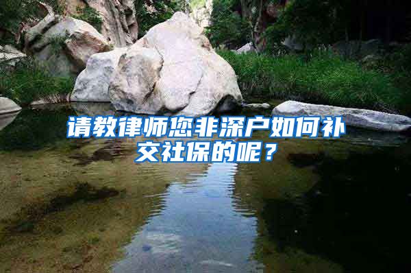 请教律师您非深户如何补交社保的呢？