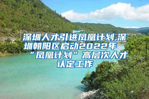 深圳人才引进凤凰计划,深圳朝阳区启动2022年“凤凰计划”高层次人才认定工作