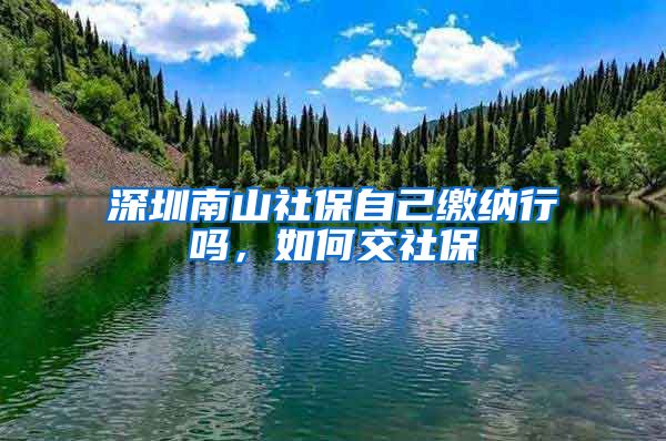 深圳南山社保自己缴纳行吗，如何交社保