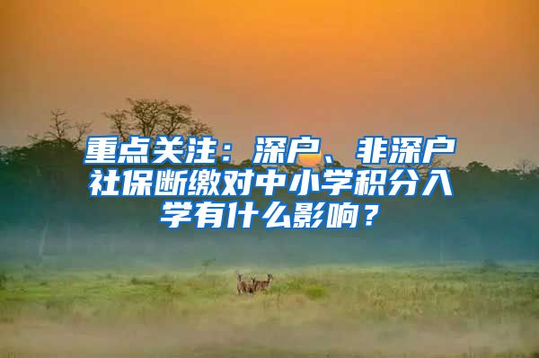 重点关注：深户、非深户社保断缴对中小学积分入学有什么影响？