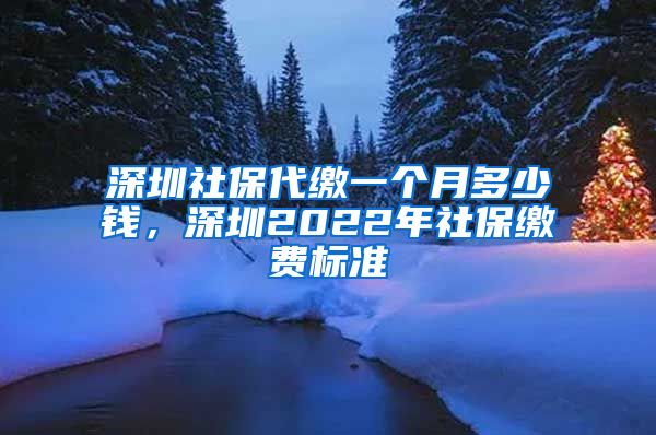 深圳社保代缴一个月多少钱，深圳2022年社保缴费标准