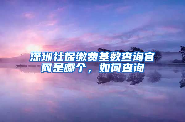 深圳社保缴费基数查询官网是哪个，如何查询