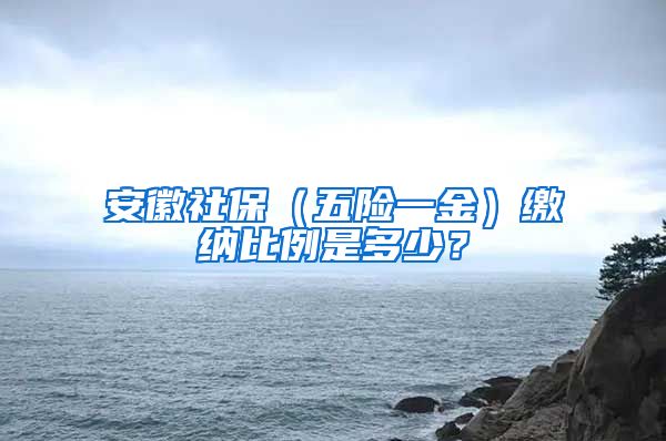 安徽社保（五险一金）缴纳比例是多少？