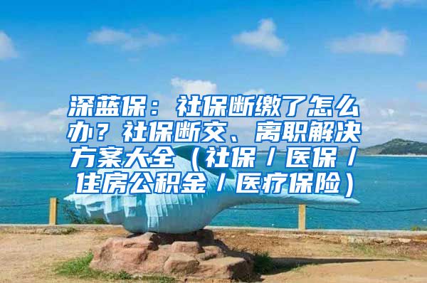 深蓝保：社保断缴了怎么办？社保断交、离职解决方案大全（社保／医保／住房公积金／医疗保险）