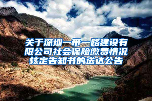 关于深圳一带一路建设有限公司社会保险缴费情况核定告知书的送达公告