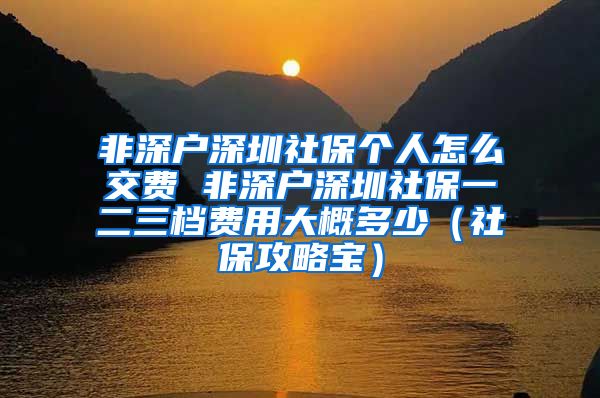 非深户深圳社保个人怎么交费 非深户深圳社保一二三档费用大概多少（社保攻略宝）