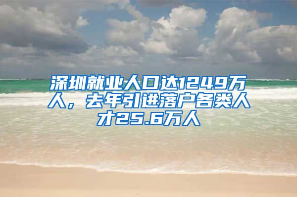 深圳就业人口达1249万人，去年引进落户各类人才25.6万人