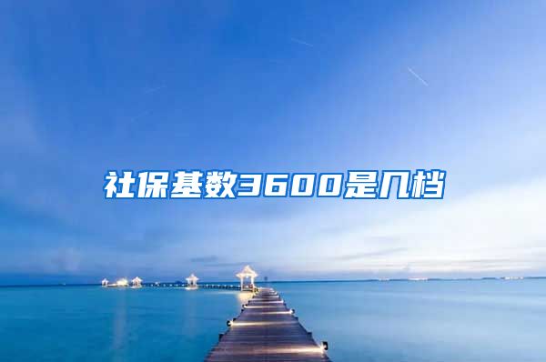 社保基数3600是几档