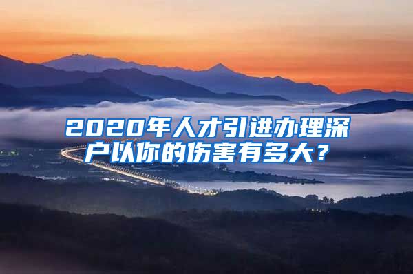 2020年人才引进办理深户以你的伤害有多大？