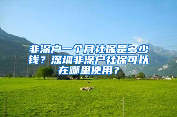 非深户一个月社保是多少钱？深圳非深户社保可以在哪里使用？