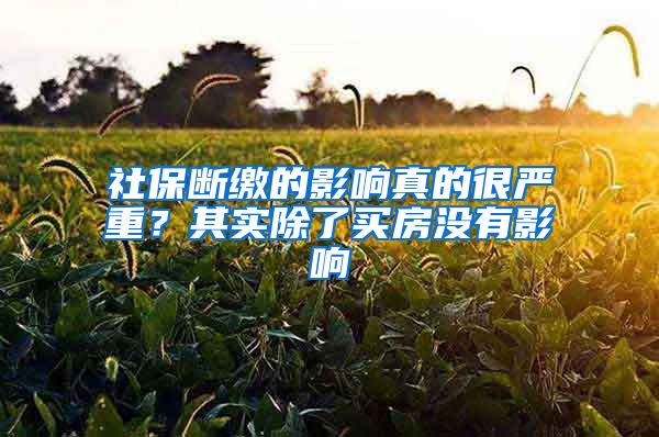 社保断缴的影响真的很严重？其实除了买房没有影响