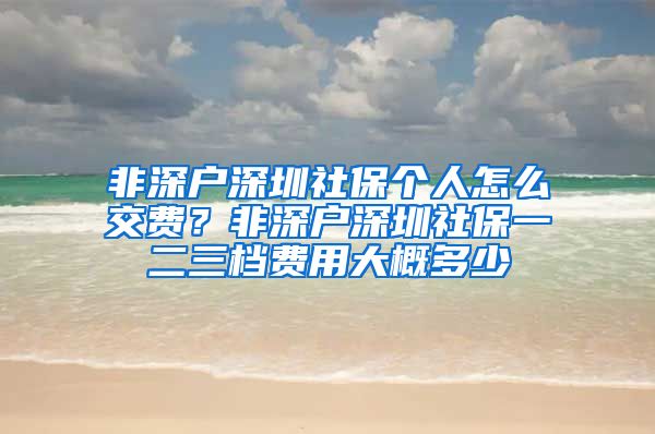 非深户深圳社保个人怎么交费？非深户深圳社保一二三档费用大概多少