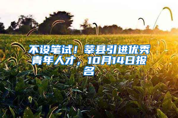 不设笔试！莘县引进优秀青年人才，10月14日报名